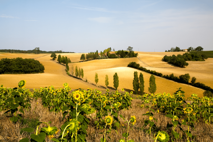 Gascogny France