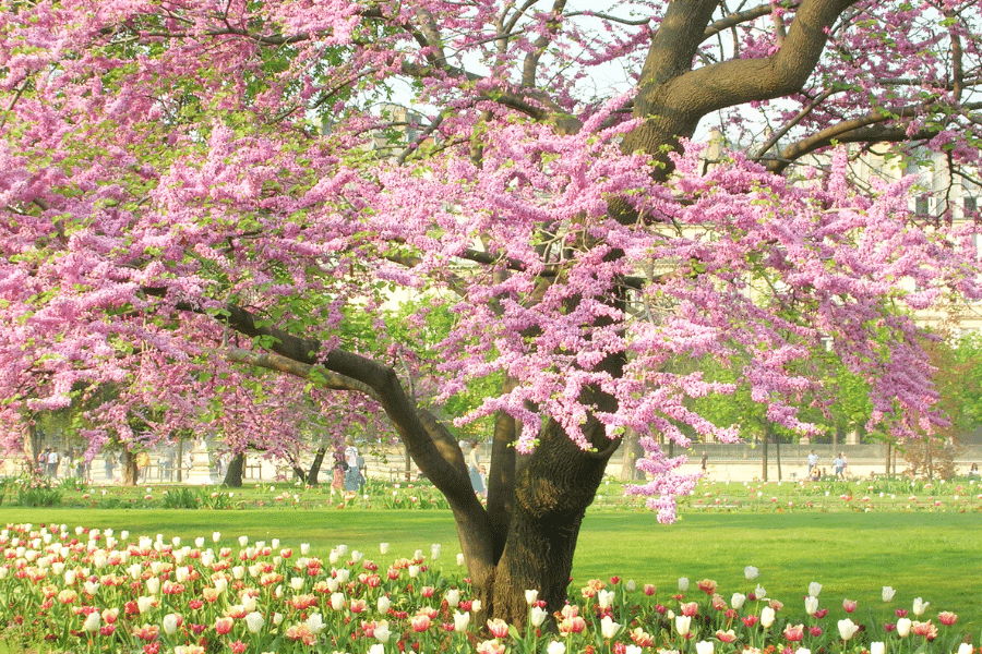 Paris France