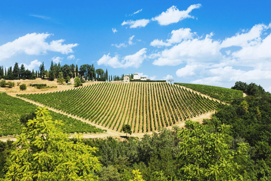 Chianti Italy