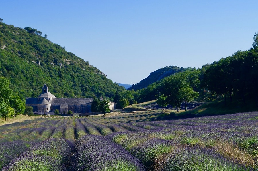 Moving to Provence France
