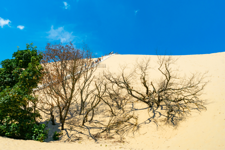 Dune de Pilat France
