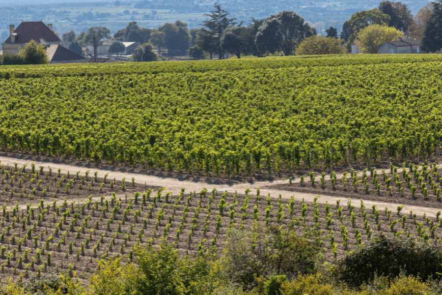 Saint Emilion Bordeaux France