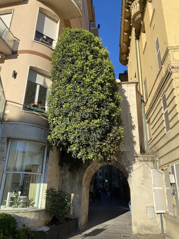 Apartment building with courtyard in Rapallo Liguria Italy
