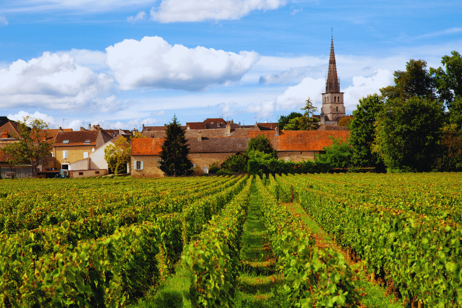 Burgundy-France