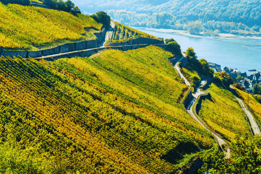 Rhine-Valley-fall-colors-Germany