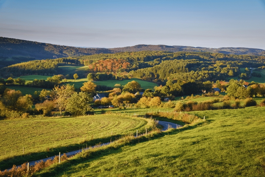 Ardennes Forest Belgium fall colors