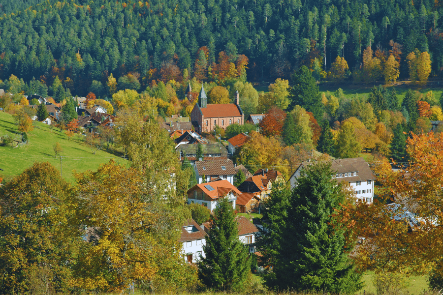 Black Forest Germany fall colors