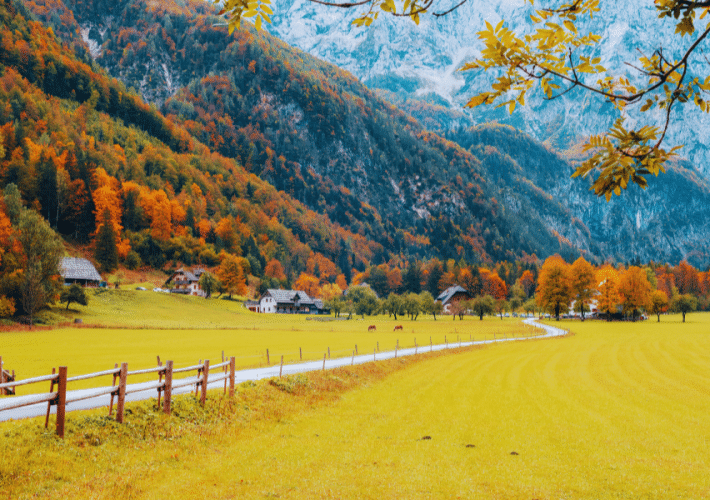 Logar-Valley-Logarska-Dolina-Slovenia