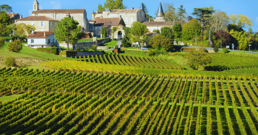 Vineyards in Bordeaux